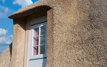Dimson thatch roof disadvantages